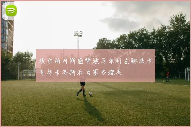 埃尔纳内斯盛赞迪马尔科左脚技术可与卡洛斯和马塞洛媲美